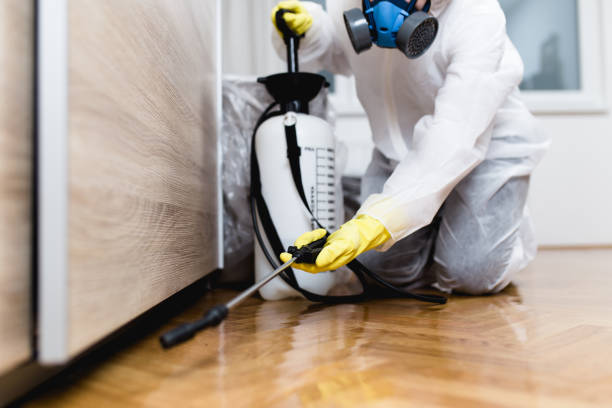 Best Pest Inspection Near Me  in Des C, AR