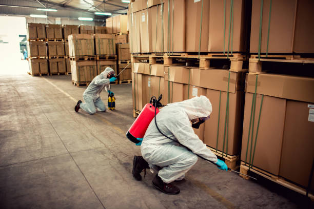 Best Wasp Removal Services  in Des C, AR