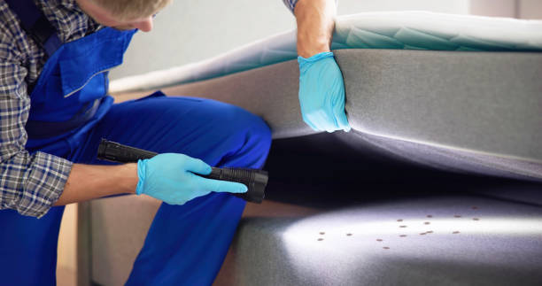 Best Best Pest Control Near Me  in Des C, AR