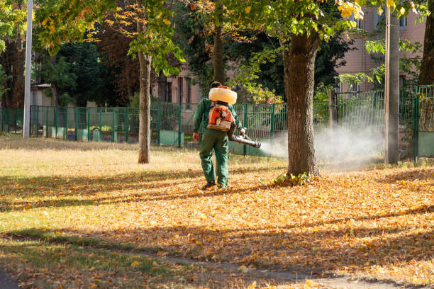Best Commercial Pest Control Services  in Des C, AR