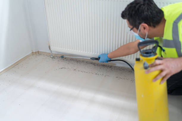 Best Pest Removal Services  in Des C, AR