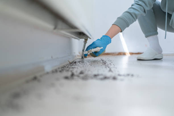 Best Best Pest Control Companies  in Des C, AR