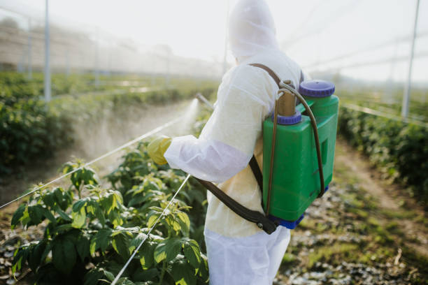 Best Wildlife Control Services  in Des C, AR
